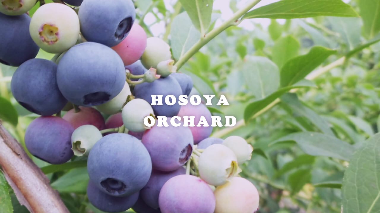 細谷果樹園｜東京都葛飾区